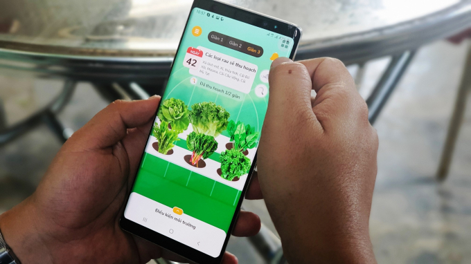 App Afarm trên điện thoại thông minh giúp người trồng có trải nghiệm như đang tự mình trồng, chăm sóc và theo dõi vườn rau của mình. Ảnh: L.K.